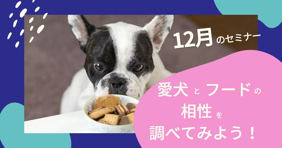 12月【愛犬とフードの相性がわかるようになる方法】